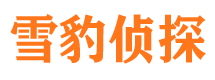 栾城侦探公司